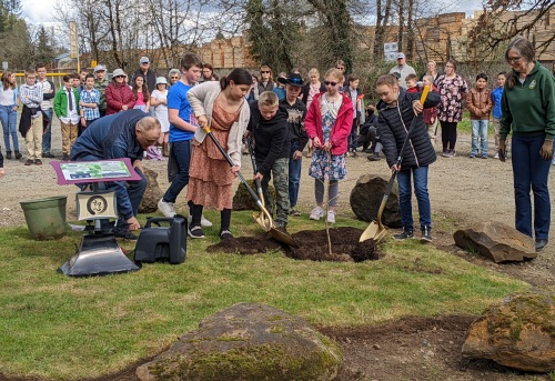 Children plant the Ginkgo sapling near the informational pedestal in front of a crowd